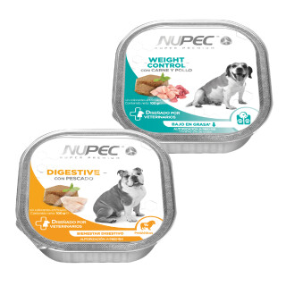 077ff5cc5ae8706ecf259a25e883fe33