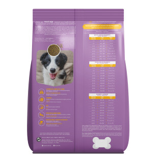 07a36ba25de758af16229ac12949e062