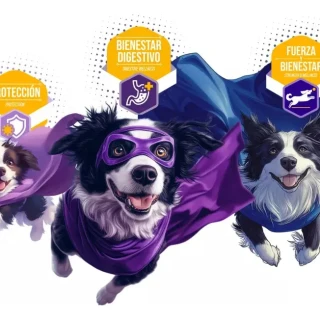 3a6a4d4904468e4f196810346c1b22eb