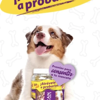 bf1ee54d41ba867aa46e7b3c2d4d7f5f