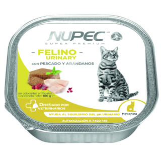 c77ad6f7a8a87945b17b8175dd9530d2