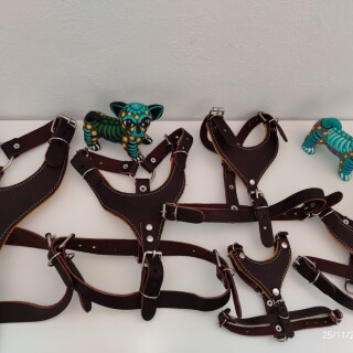 a4663370d1b518b66134a024645eb0f0