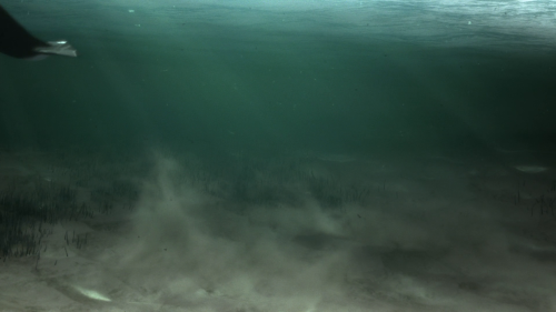 b1dd2678035301575aa8bf92c7a4cb95.png